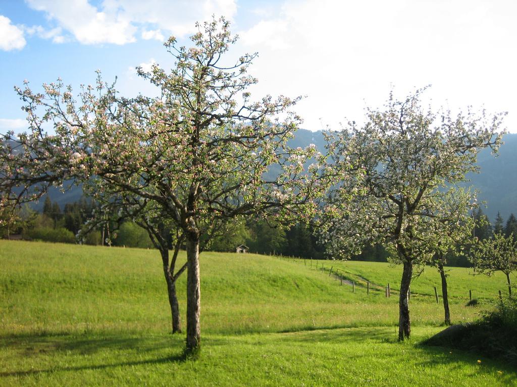Pension Laerchenbrunn Westendorf Room photo